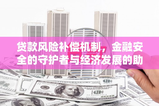 东平贷款风险补偿机制，金融安全的守护者与经济发展的助推器