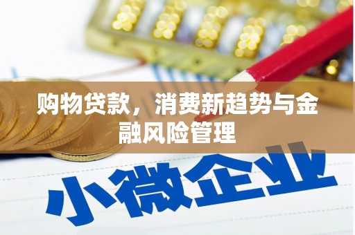 东平购物贷款，消费新趋势与金融风险管理