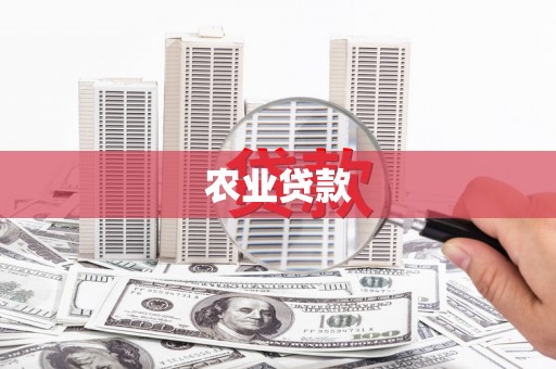 东平农业贷款