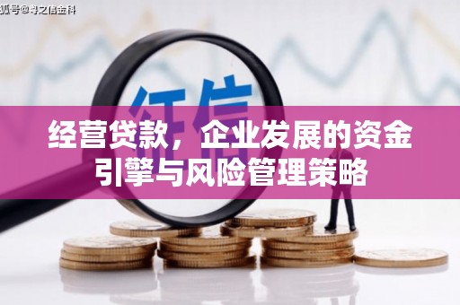 东平经营贷款，企业发展的资金引擎与风险管理策略