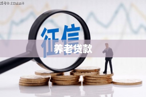 东平养老贷款