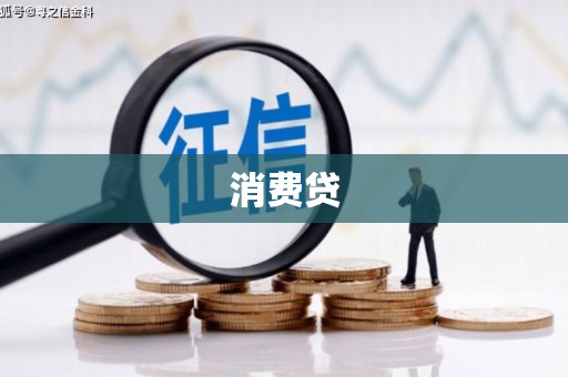 东平消费贷