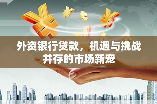 东平外资银行贷款，机遇与挑战并存的市场新宠