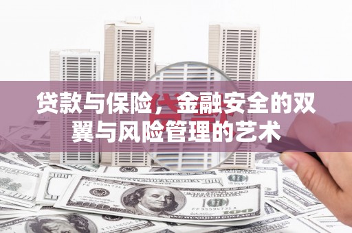 东平贷款与保险，金融安全的双翼与风险管理的艺术