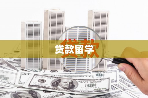 东平贷款留学