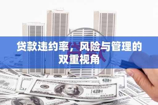 东平贷款违约率，风险与管理的双重视角
