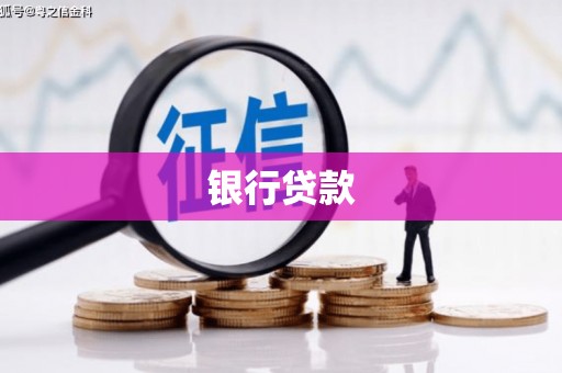 东平银行贷款