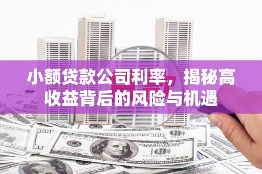 东平小额贷款公司利率，揭秘高收益背后的风险与机遇