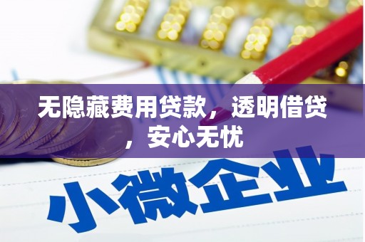东平无隐藏费用贷款，透明借贷，安心无忧