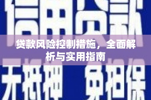 东平贷款风险控制措施，全面解析与实用指南