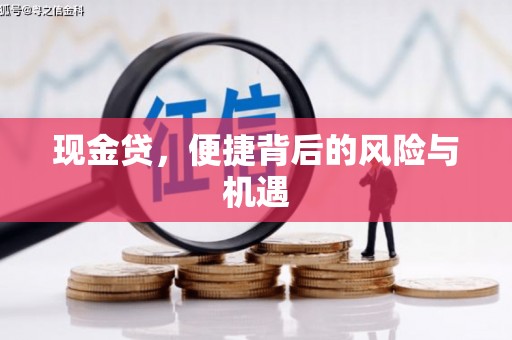东平现金贷，便捷背后的风险与机遇
