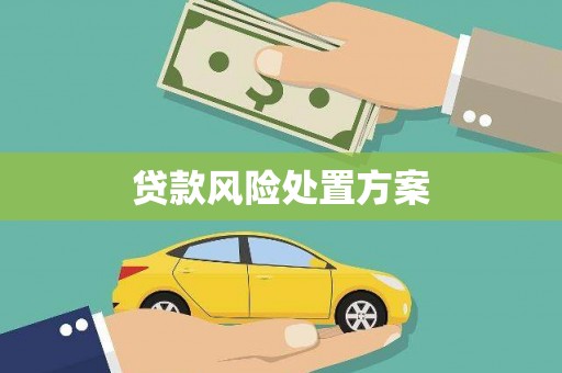 东平贷款风险处置方案