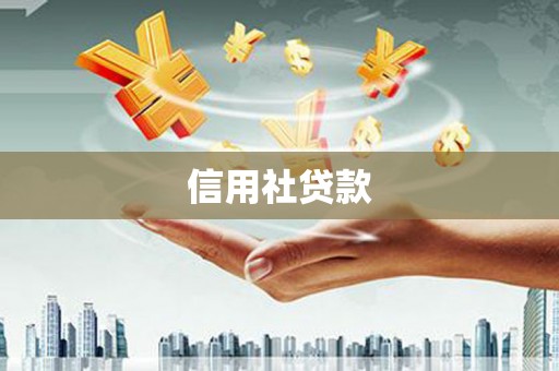 东平信用社贷款