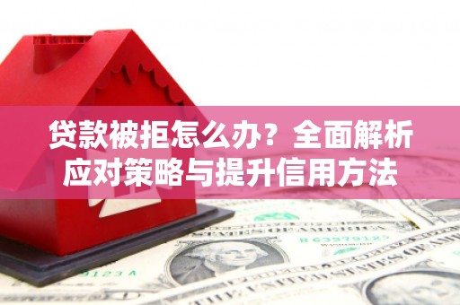 东平贷款被拒怎么办？全面解析应对策略与提升信用方法