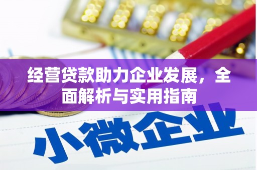 东平经营贷款助力企业发展，全面解析与实用指南