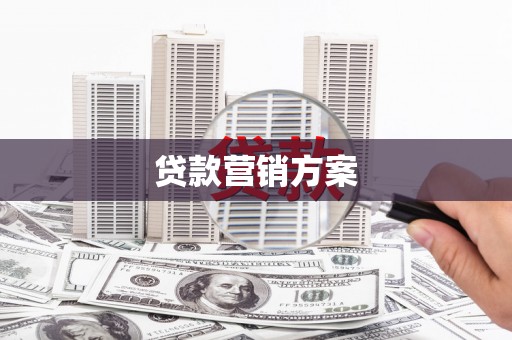 东平贷款营销方案