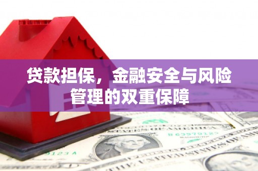 东平贷款担保，金融安全与风险管理的双重保障
