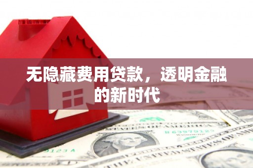 东平无隐藏费用贷款，透明金融的新时代