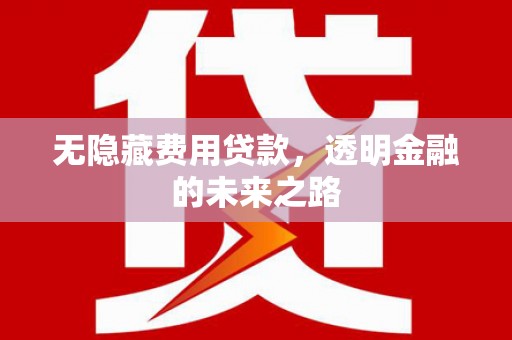 东平无隐藏费用贷款，透明金融的未来之路