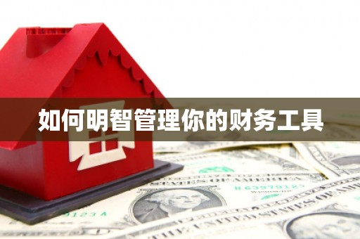 东平如何明智管理你的财务工具