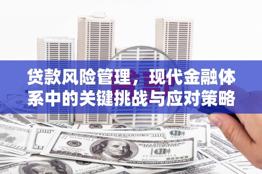 东平贷款风险管理，现代金融体系中的关键挑战与应对策略