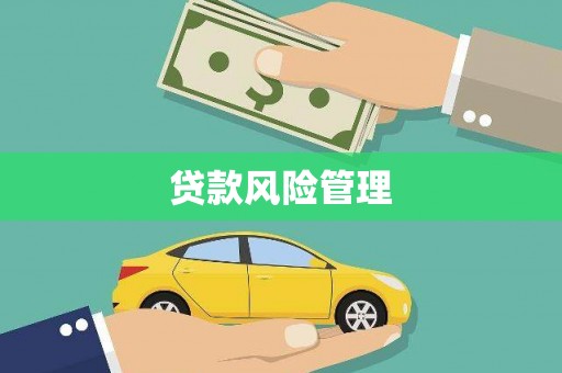 东平贷款风险管理