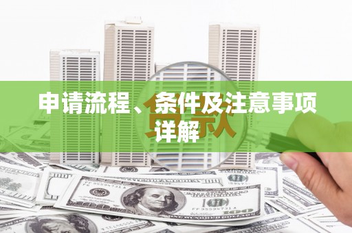 东平申请流程、条件及注意事项详解