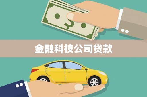 东平金融科技公司贷款
