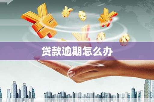 东平贷款逾期怎么办