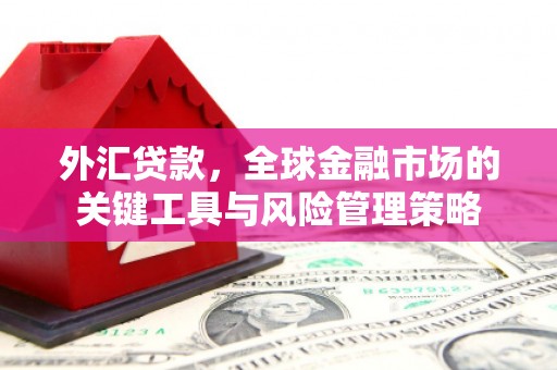 东平外汇贷款，全球金融市场的关键工具与风险管理策略