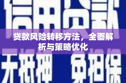 东平贷款风险转移方法，全面解析与策略优化