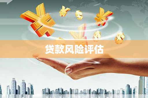 东平贷款风险评估