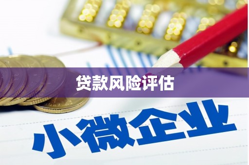 东平贷款风险评估