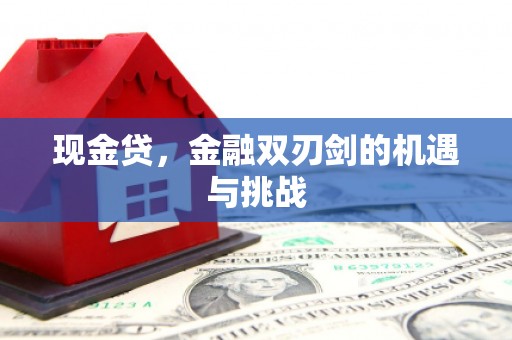 东平现金贷，金融双刃剑的机遇与挑战