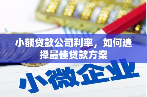东平小额贷款公司利率，如何选择最佳贷款方案