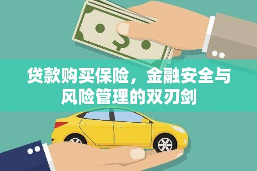 东平贷款购买保险，金融安全与风险管理的双刃剑