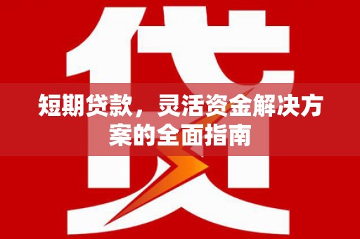 东平短期贷款，灵活资金解决方案的全面指南