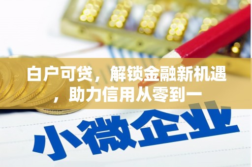 东平白户可贷，解锁金融新机遇，助力信用从零到一