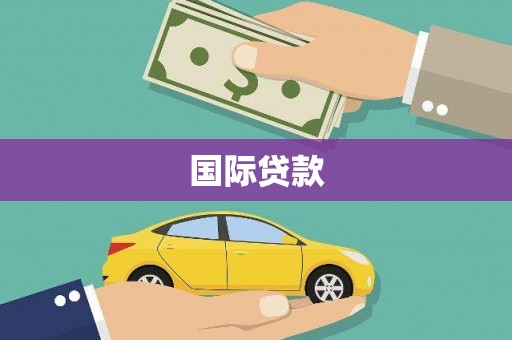 东平国际贷款
