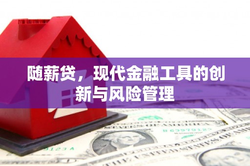 东平随薪贷，现代金融工具的创新与风险管理