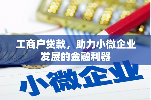 东平工商户贷款，助力小微企业发展的金融利器