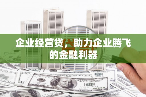 东平企业经营贷，助力企业腾飞的金融利器