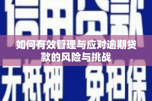 东平如何有效管理与应对逾期贷款的风险与挑战