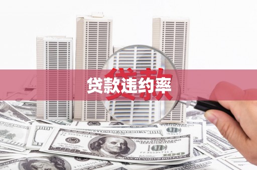东平贷款违约率