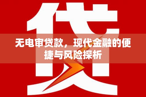 东平无电审贷款，现代金融的便捷与风险探析
