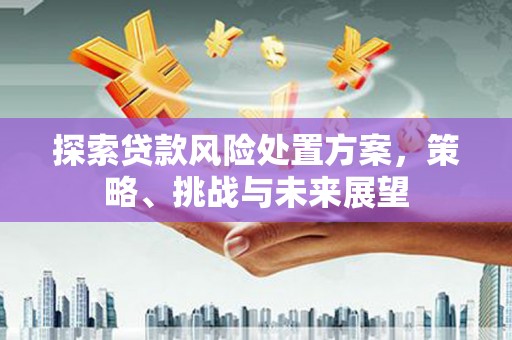 东平探索贷款风险处置方案，策略、挑战与未来展望