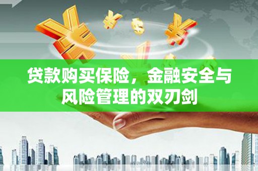 东平贷款购买保险，金融安全与风险管理的双刃剑