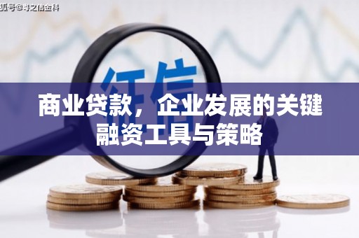 东平商业贷款，企业发展的关键融资工具与策略