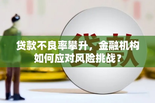 东平贷款不良率攀升，金融机构如何应对风险挑战？