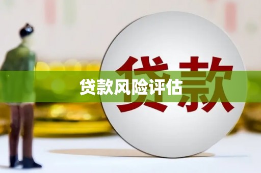 东平贷款风险评估